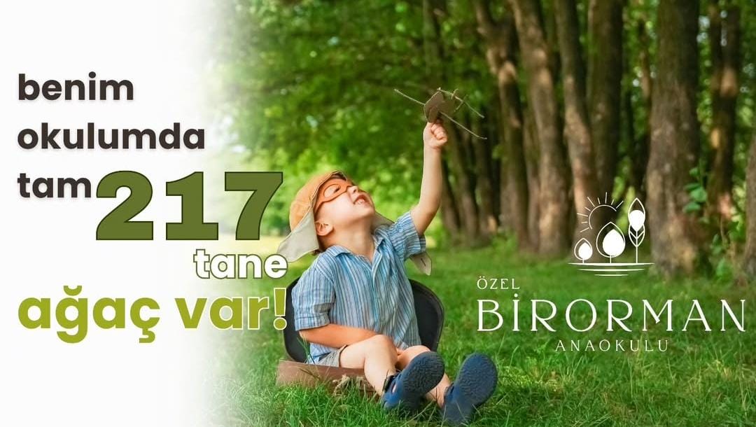 Bir Ormanda Büyümek: Çocukların Doğayla İç İçe Eğitim Yolculuğu